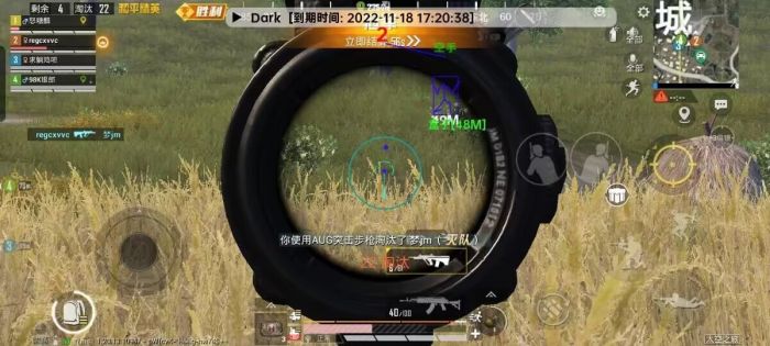 和平精英前一百有多少外挂（和平精英有多少外挂玩家）